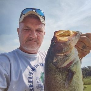 Meet your Posher, Tim